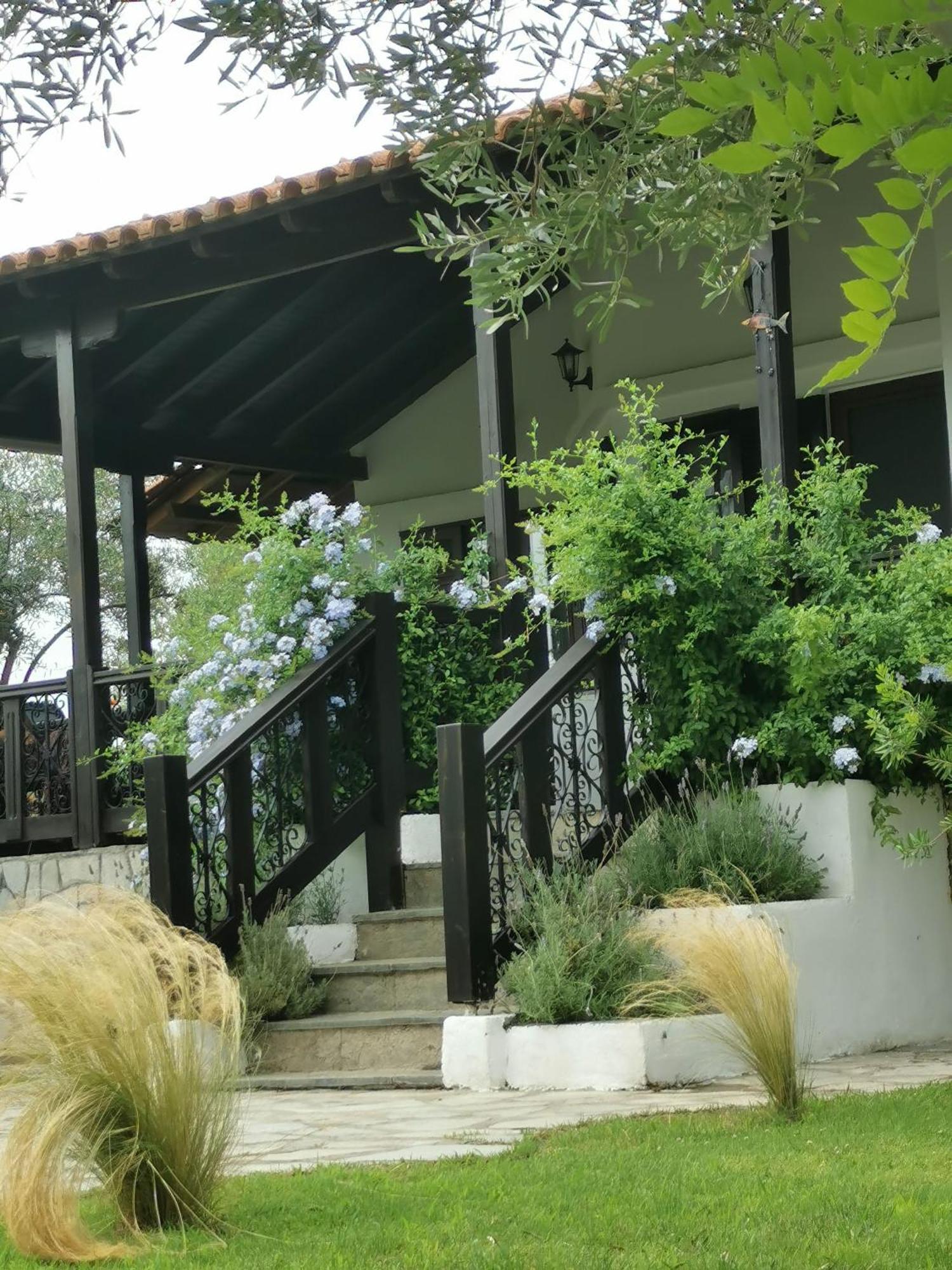 Villa Joy Ormos Panagias Extérieur photo