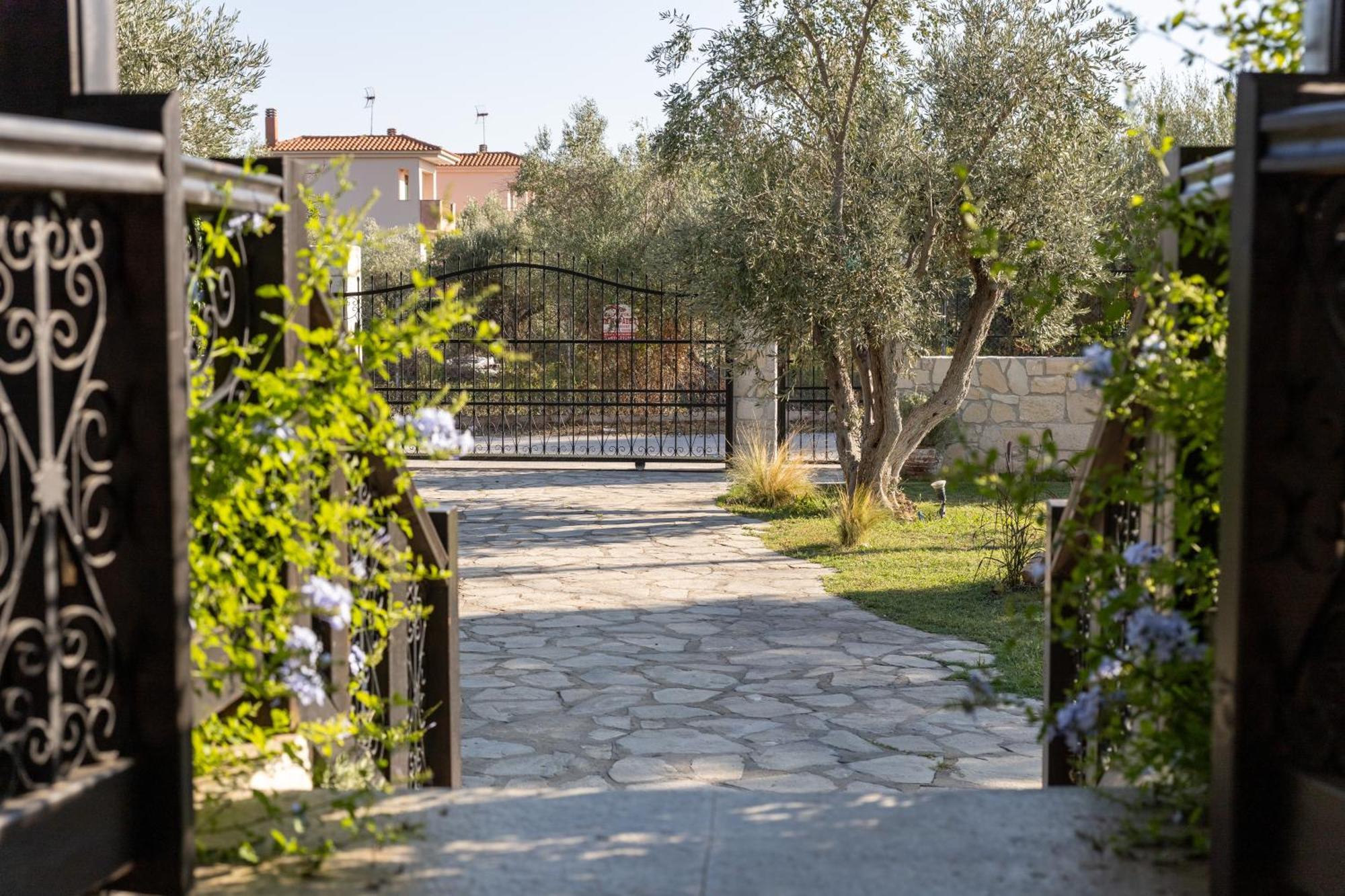 Villa Joy Ormos Panagias Extérieur photo