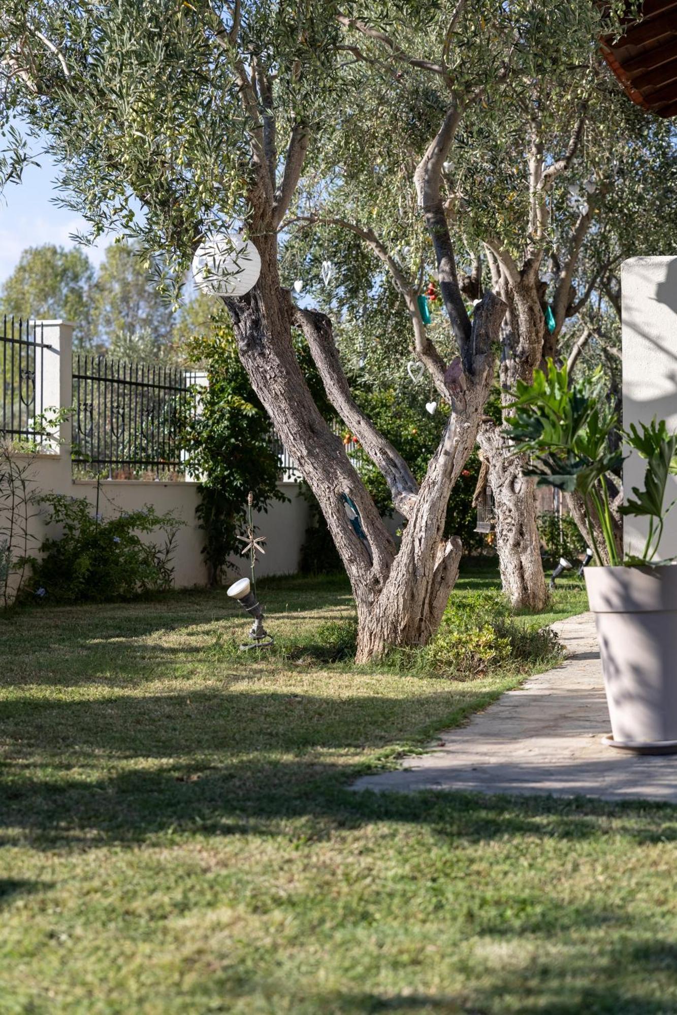 Villa Joy Ormos Panagias Extérieur photo