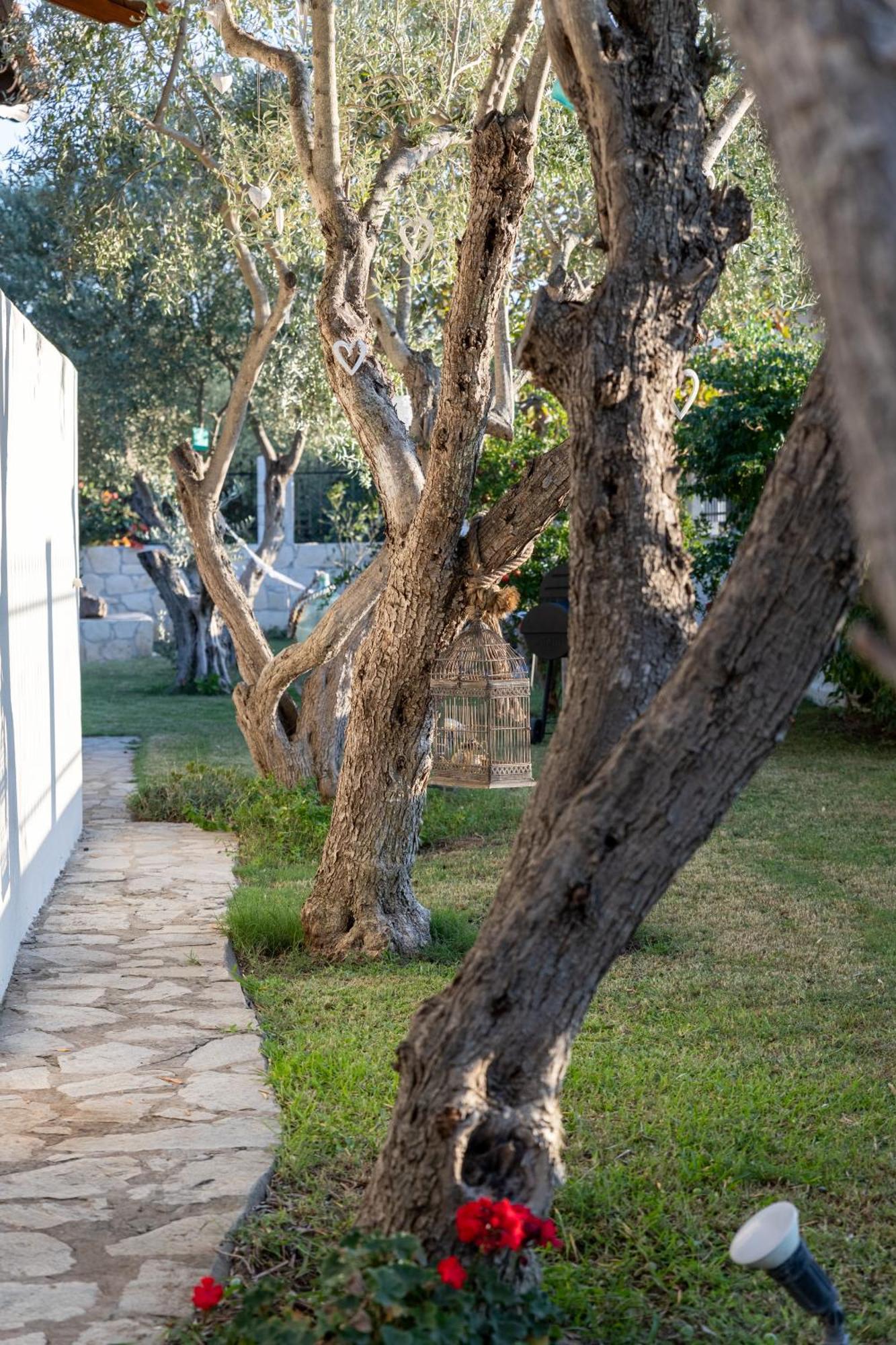 Villa Joy Ormos Panagias Extérieur photo